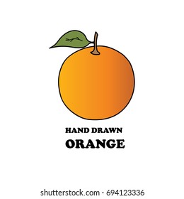 Hand Drawn Illustration of Orange Logo