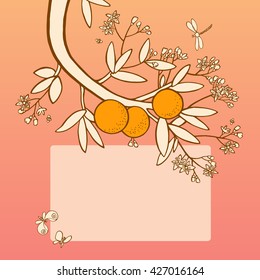 Hand drawn illustration of orange tree branch  with oranges. Vector design illustration