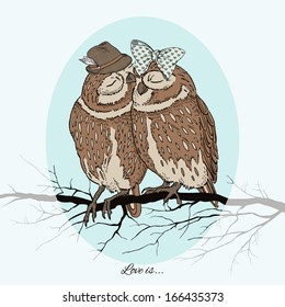 Hand Drawn Illustration of owls in love, Valentine Day , Love