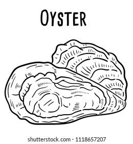 Hand drawn illustration of oyster.