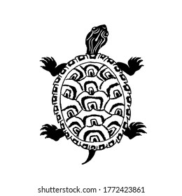 Hand drawn illustration of Painted turtle, Chrysemys picta, in semirealistic linocut style.