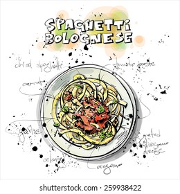 Hand drawn illustration of pasta recipe. Ingredients. Vector collection.