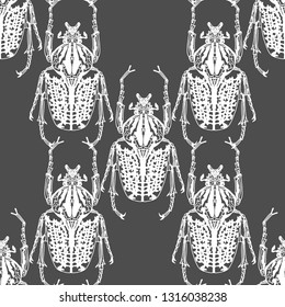 Hand drawn illustration pattern of beetle on a gray background. vector illustration. Ornament template for your design background.