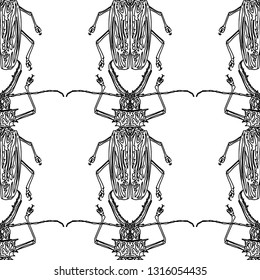 Hand drawn illustration pattern of beetle on a wight background. vector illustration. 