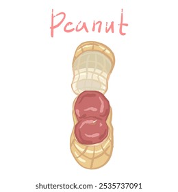 hand drawn illustration of a peanut with the shell open, revealing two reddish brown peanuts inside.