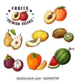 Dibujado a mano ilustración de pera, melón, kiwi, albaricoque, mangostán, caqui, sandía. Conjunto de frutas. Elementos de bocetos coloridos.