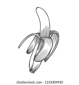 Hand drawn illustration of a peeled banana