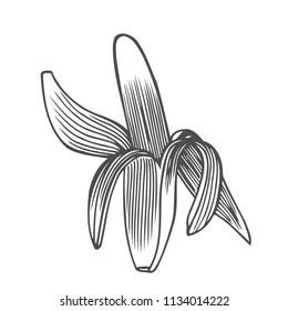 Hand drawn illustration of a peeled banana