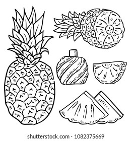 Hand drawn illustration of pineple.