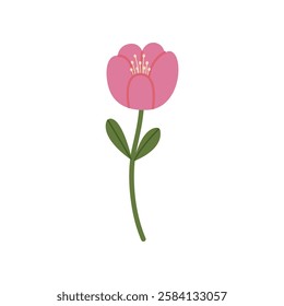 Hand drawn illustration of a pink flower. Botanical clipart.