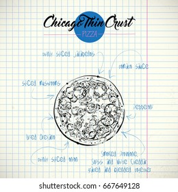 Hand drawn illustration of pizza Vector collection.