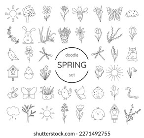 Hand drawn illustration plant
