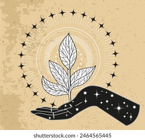 Hand drawn illustration with plant and stars in hand of fortune teller or witch. Tattoo, poster or altar print design concept, esoteric, wicca and gothic background