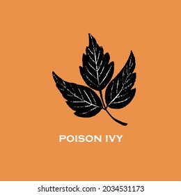 Hand drawn illustration of Poison ivy  plant leaf for icon or logo in linocut retro style.