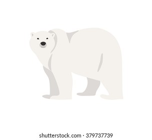 Hand drawn illustration of polar bear isolated on white. Walking or standing polar bear, side view. Flat style