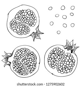 Hand drawn illustration of pomegranate slices isolated on white background. Elements for design.