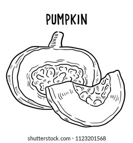 Hand drawn illustration of pumpkin.