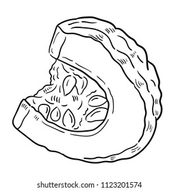Hand drawn illustration of pumpkin.