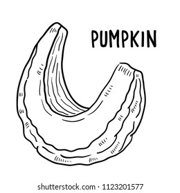 Hand drawn illustration of pumpkin.