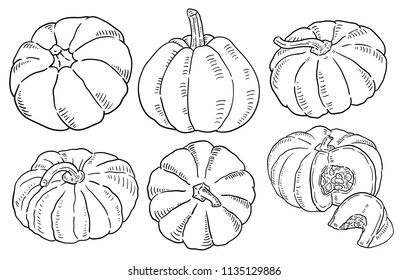 Hand drawn illustration pumpkin 