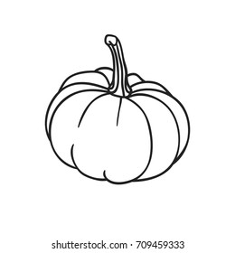 Hand drawn illustration pumpkin. Creative ink art work. Actual vector drawing vegetable