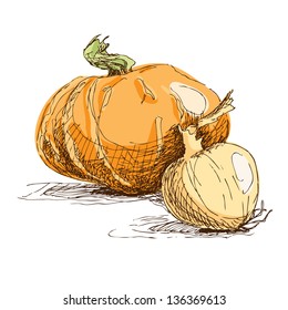 Hand drawn illustration of pumpkin and large onion.