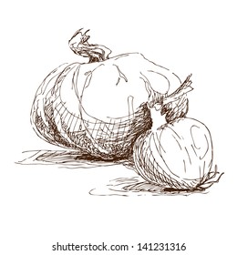 Hand drawn illustration of pumpkin and large onion.  