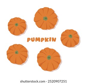 Hand drawn illustration of pumpkin, a vegetable representing Halloween and the fall season.