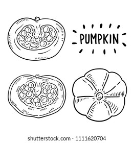 Hand drawn illustration of pumpkins.