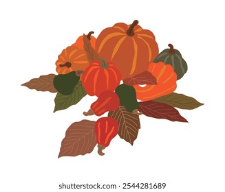 Hand drawn illustration of pumpkins and various fallen leaves, the vegetable harvest for Thanksgiving in the fall season.