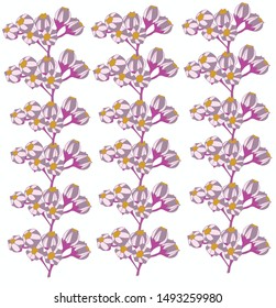 Hand drawn illustration of purple flowers lined lined up un a white background