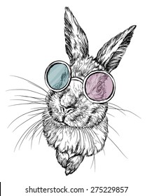 Hand drawn illustration of a rabbit in glasses. isolated on white