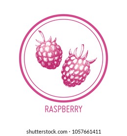 Hand drawn illustration of raspberry isolated on white background in round frame. Vector engraving fruit.