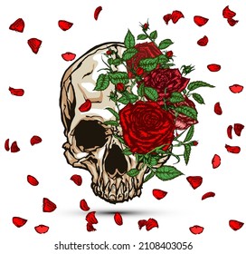 Hand drawn illustration of red roses covering half skull with falling petals in modern tattoo style design. 