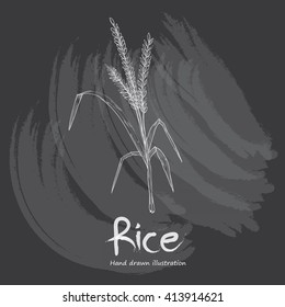 hand drawn illustration of rice on chalkboard