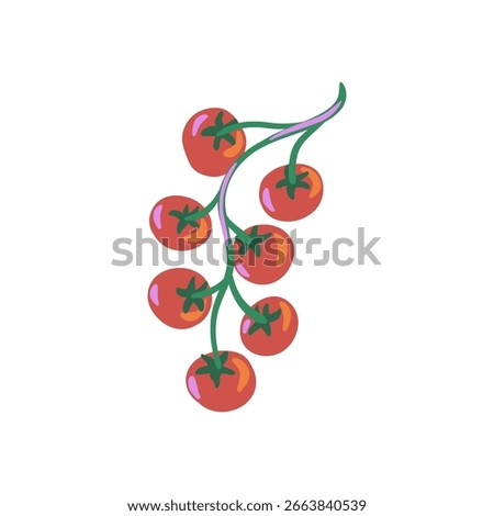 Hand drawn illustration of ripe cherry tomatoes hanging on a green vine isolated on white background. Vector design