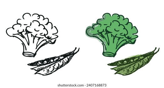 Hand drawn illustration of ripe green pea pod and broccoli inflorescence isolated on white 