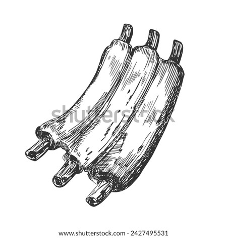 Hand drawn illustration of roasted ribs isolated on white background. Sketch style grilled ribs.