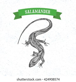 Hand drawn illustration of salamander in line art style with engraved elements. Tattoo sketch of lizard isolated on vintage background for web print brochure. Vector Tribal Decorative Patterned Design