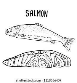 Hand drawn illustration of salmon.