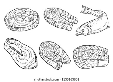 Hand drawn illustration of salmon.