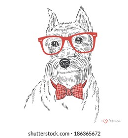 ilustración dibujada a mano del niño perro schnauzer, retrato 