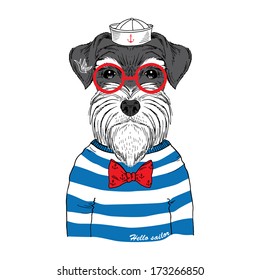 Hand drawn illustration of schnauzer sailor isolated on white