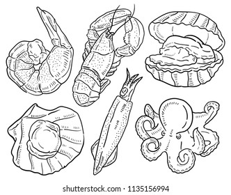 Hand drawn illustration of Seafood.