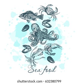 Hand drawn illustration Seafood.