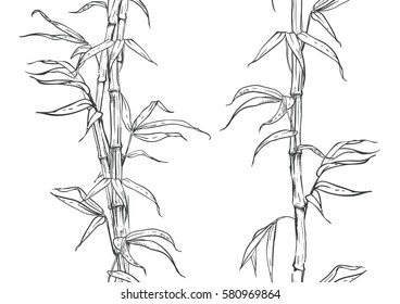 hand drawn illustration with seamless pattern bamboo stalk and leaves. vector eps 8