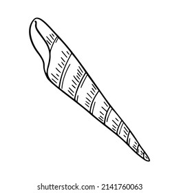 A hand drawn illustration of a seashell isolated on white background. A vector illustration EPS10