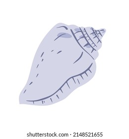 A hand drawn illustration of a seashell isolated on white background. A vector illustration EPS10
