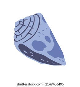 A hand drawn illustration of a seashell isolated on white background. A vector illustration EPS10