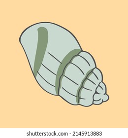 A hand drawn illustration of a seashell. Tropical underwater design element. A vector illustration EPS10